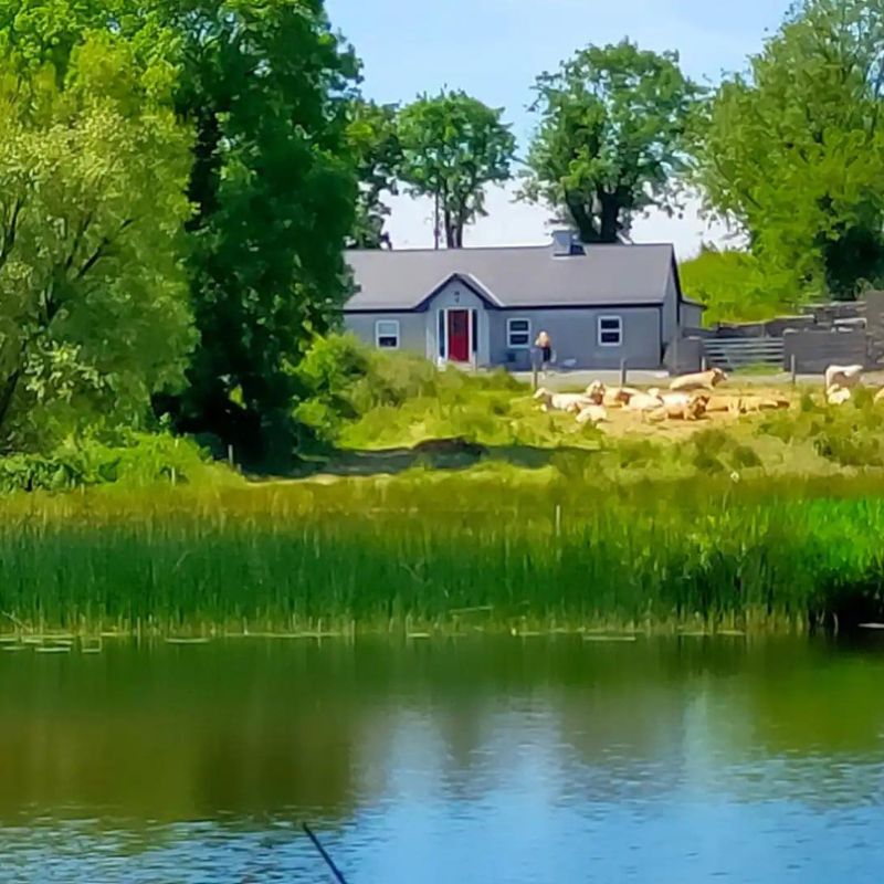 lodge guide peche irlande